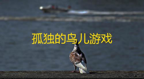 三角洲辅助器免费版孤独的鸟儿游戏